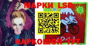 прущие грибы Будённовск