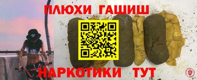прущие грибы Будённовск