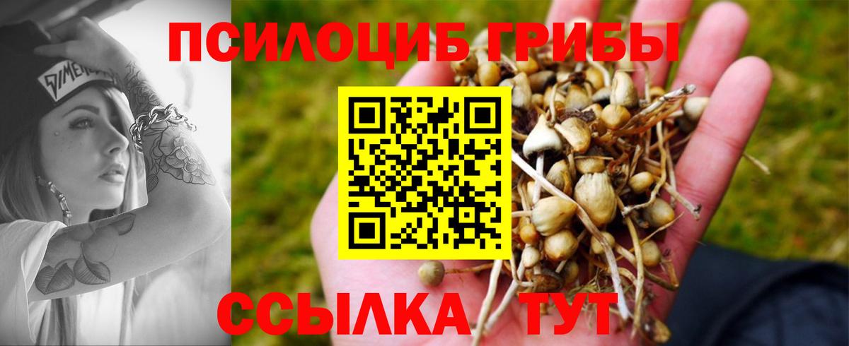 Псилоцибиновые грибы Cubensis  Вход с VPN  Саранск 